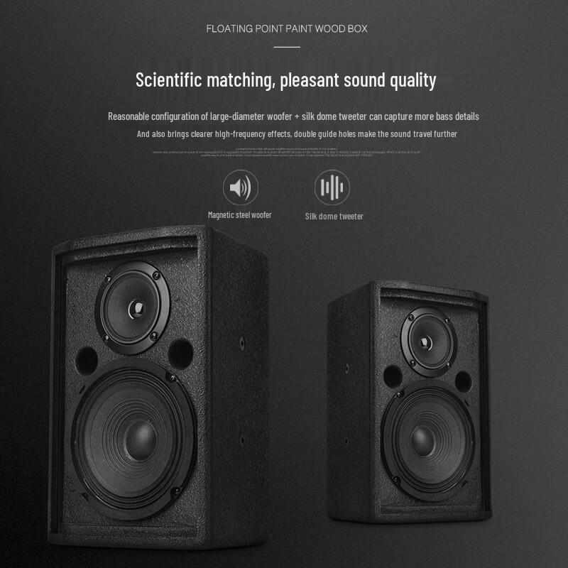 ZMVP S65 6.5-inch Passive Full-Range Conference Speaker