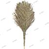 Wooden Handle Heavy-Duty Cleaning Broom