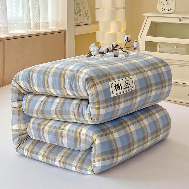 LISM All-Season Soft Xinjiang Cotton Quilt