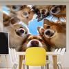 Adorabili Musi di Cane Murale Lavabile in Macchina Tessuto in Poliestere Decorazione per Soggiorno Camera da Letto Cameretta Ufficio Dormitorio