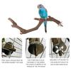 5PCS Bird Training Branches with Fixing Screw Easy to Install Anti-Slip Design Branch for Small Parrot Birds