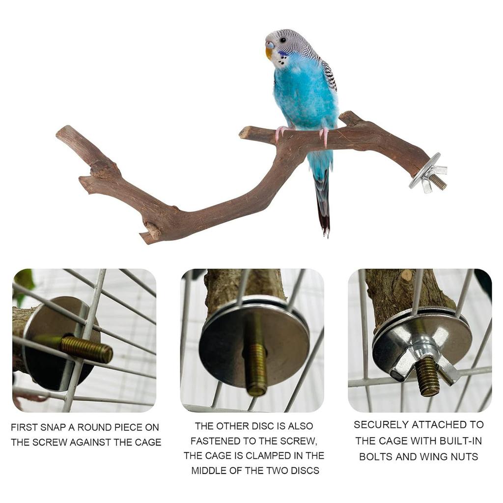 5PCS Bird Training Branches with Fixing Screw Easy to Install Anti-Slip Design Branch for Small Parrot Birds