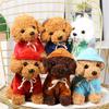 20cm Plush Toy Poodle with Detachable Hoodie, Sitting Position, Fluffy, Puppy, Body Pillow, Teddy Bear Dog, Teddy Poodle, Plush Toy, PP Cotton