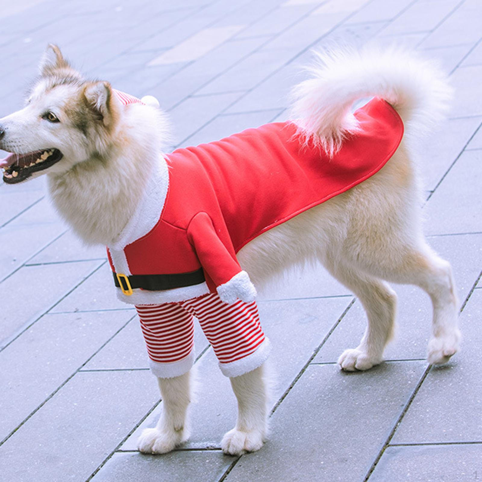 

Рождественский наряд кота, одежда со шляпой, милый костюм Санта-Клауса для вечеринок XL