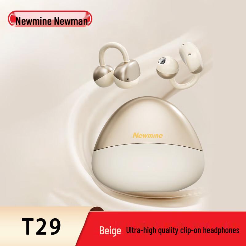 

Newmine T29 Clip-on Earbuds
