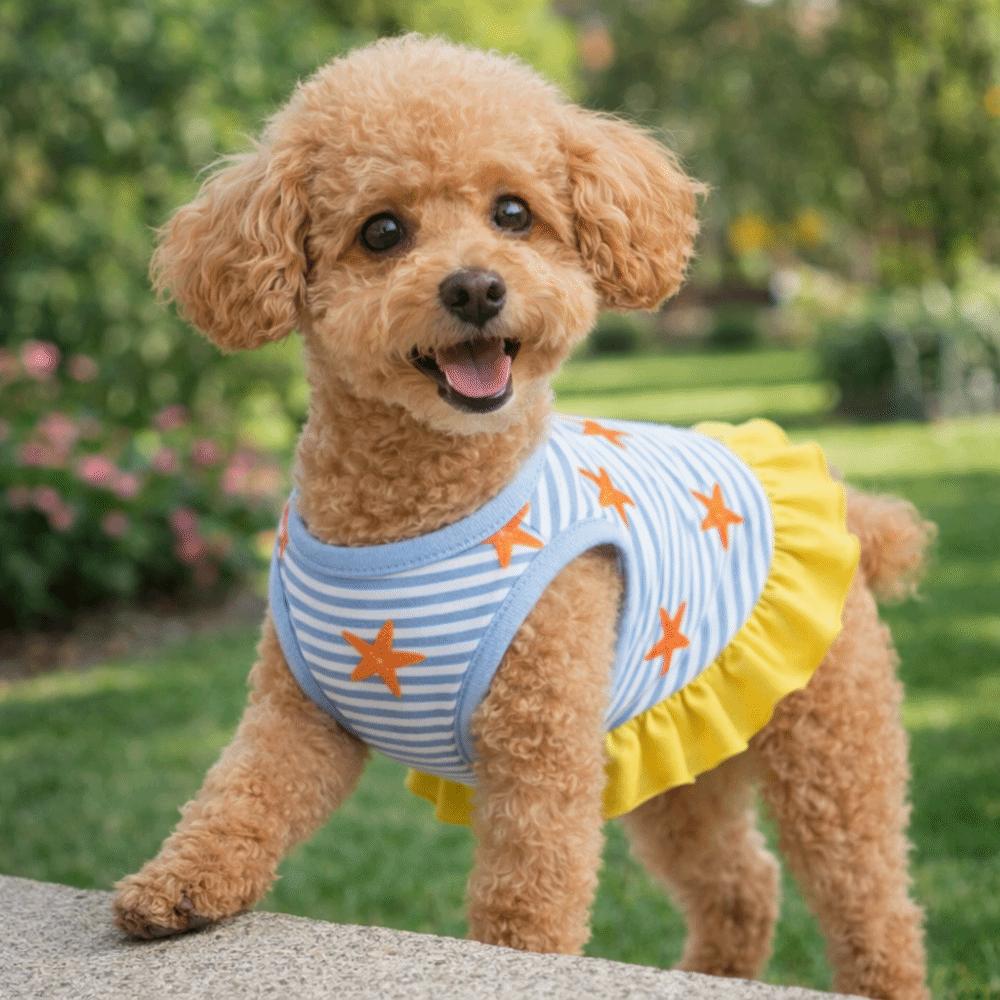 Starfish Pattern Dog Striped Dress Breathable Summer Dog Costume  Spring Summer