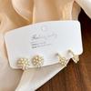 Amber Coffee French Retro Luxury Earrings - Women's Elegant Studs with Niche Design