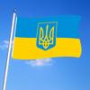 Ukraine Nationalflagge 90x150cm Blau Gelb Ukraine Fliegende Flagge für Hof Außendekoration