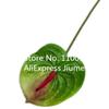 8pcs Artificial Anthurium Flower Branch Single Head Anthurium Andreanum Dakota Stem for Wedding Party Table Floral Decoration