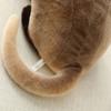 Animal de dessin animé américain Shorthair chat siamois en peluche couché chat jouets pour animaux de compagnie Simulation chat en peluche poupée
