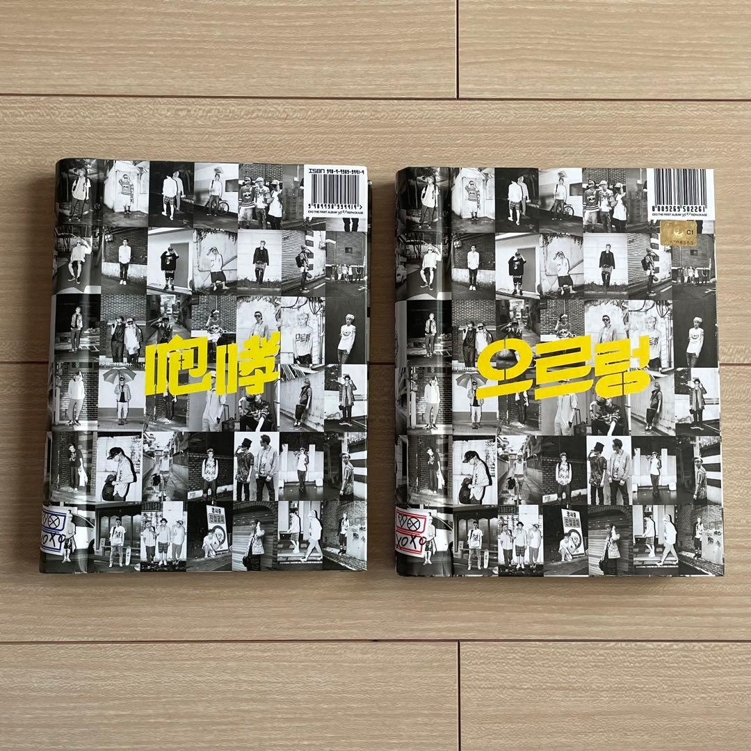 

[USED] Roar / Yurenrei Photobook