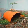 Ceramic Turtle Dodge Cave Breathable Decorative Fish Shrimps Shelter House Climbing Hill Landscaping Crab Safe House Fish Tank