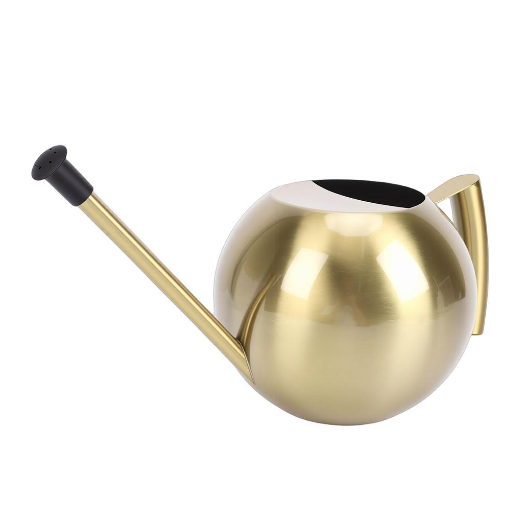 Watering Can with Long Spout 1000ml Stainless Steel Round Indoor Plant Watering Can with Detachable Head for Home