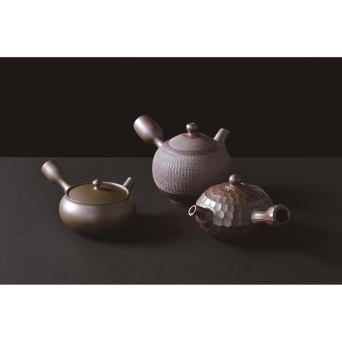 Yamakiikai Taisen Purple Clay Flat Small Teapot W5