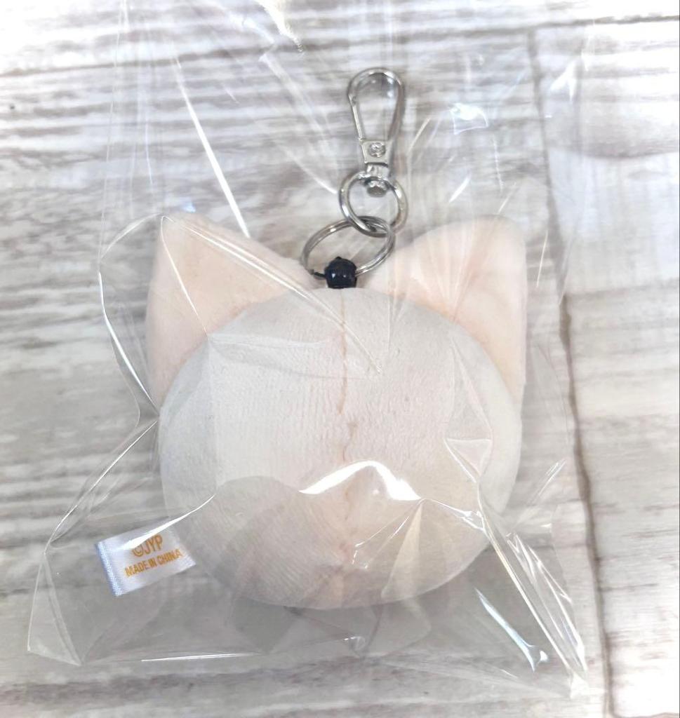 [USED] straykids SKZOO Foxxyny Face Keyring Ien