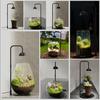 Micro Landscape Plant Growth Lamp with Timmer Height Adjustable Flicker Free Sunlight-like Spectrum