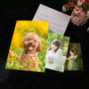 3Pcs Sublimation Blank Plate Aluminum Photo Metal Wall Poster Frame Plate for Thermal Sublimation Printing Photo Sign