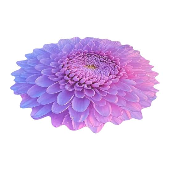 Diatomaceous Earth Floor Mat 3D Realistic Floral Design Non-Slip Absorbent Bath Mat Quick-Drying Soft