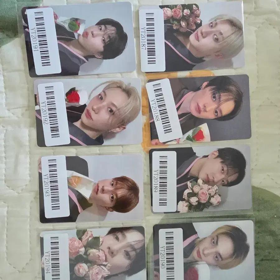 Stray Kids Photocard Stray Kids KMS