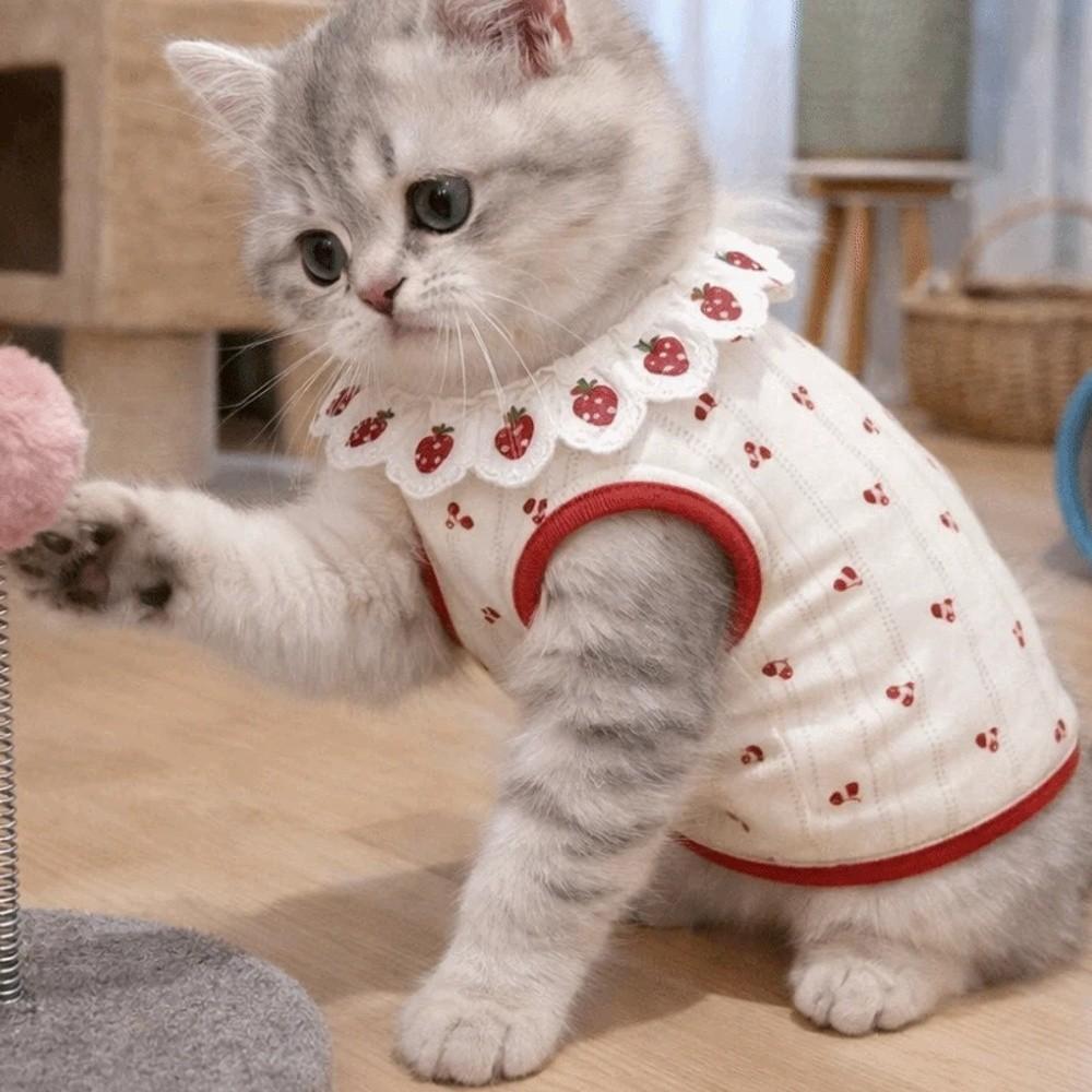Cherry Pattern Cat Strawberry Vest Ruffled Collar Pet T-shirt Cat Lace Vest  Indoor Wear