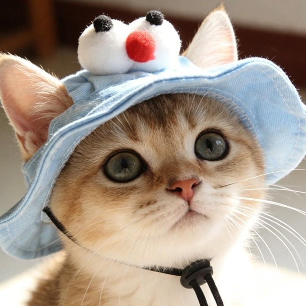 Colorful Adjustable Cat Bucket Hat Round Brim with Ear Holes Pet Sun Hat Breathable Dog Caps for Small Dogs Cats