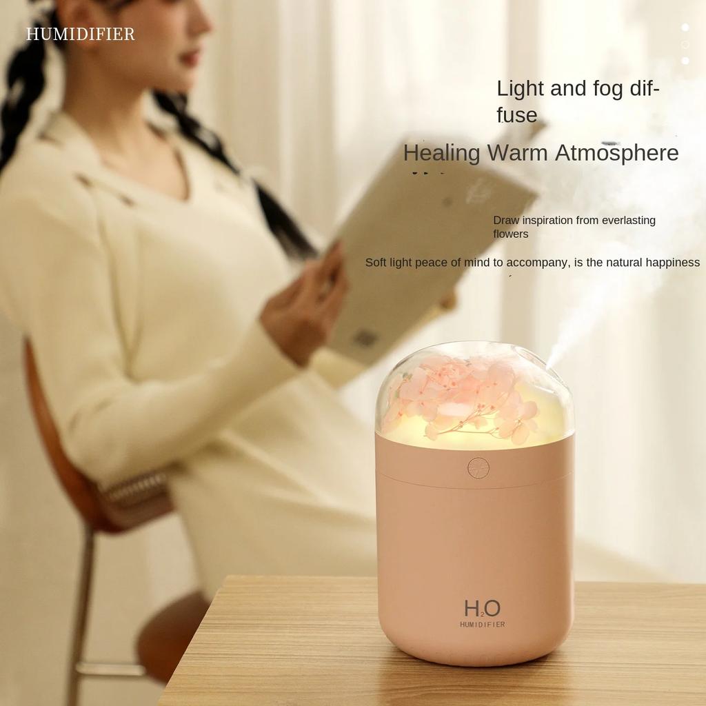 Aeonium Humidifier Mini Home Bedroom Hydration Desktop Sprayer Aromatherapy Ambient Light Humidifiers Difuser Essential Oil