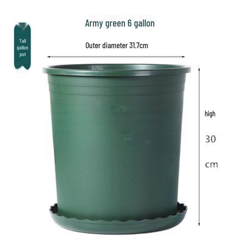 Shangqi Plastic Tree and Plant Pot with Tray