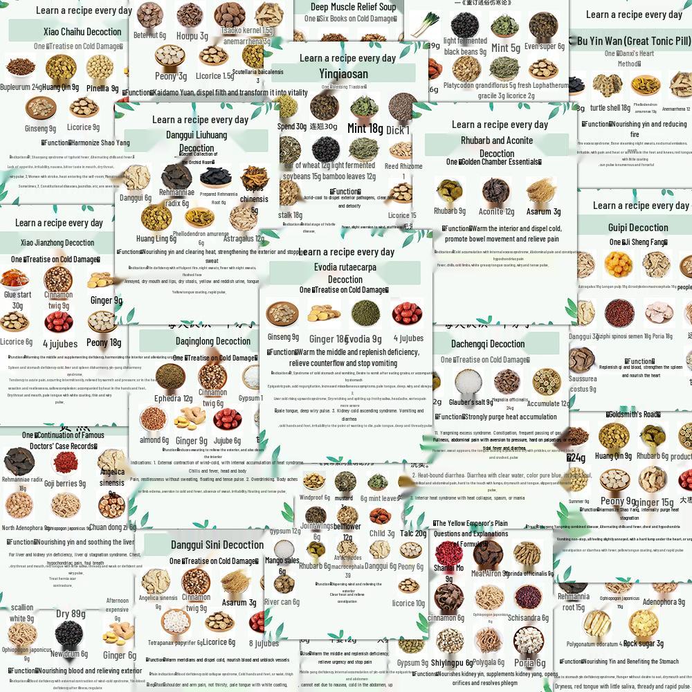 

96 листов наклеек для ежедневного планирования: Справочник по китайской травяной медицине для ноутбуков и iPad