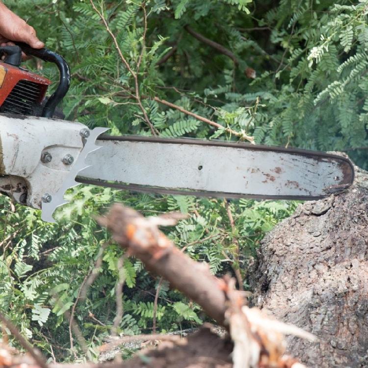 Large Dog Spikes Bumper Replacement for MS200 MS201 MS210 MS230 MS170 MS250 MS171 MS181 MS211 017 018 020 Chainsaws