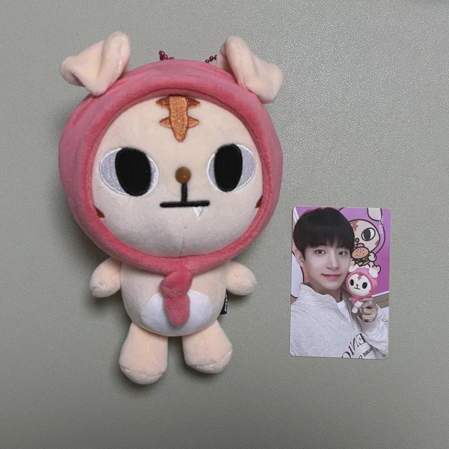 

CRAVITY Фотокарточка куклы Крю Гу Чон Мо Лангмо