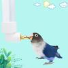 130Ml Papagei Wasser Dispenser Trinken Flasche Hängen Automatische Feeder Käfig Zubehör Für Chinchillas Kaninchen