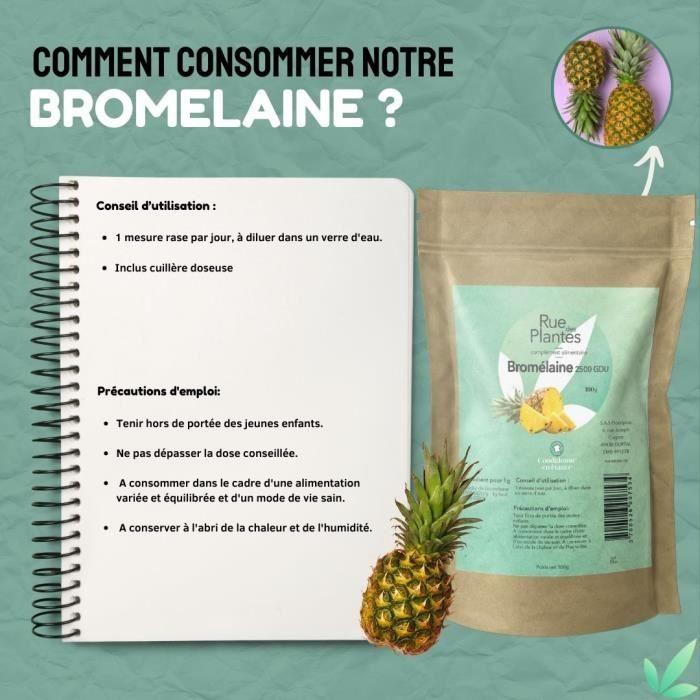Bromélaïne poudre 100g