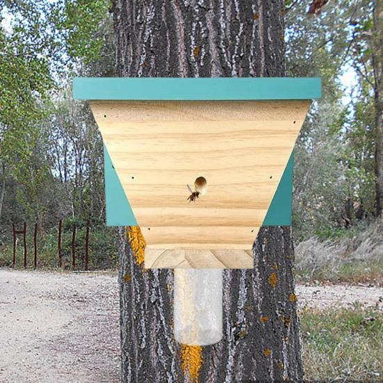 Wood Carpenter Bee Trap Outside Natural Wood Boring Bee Trap Weather-proof House Shape Outdoor Hanging Bee Catcher Decoration