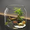 Anti-broken Round Fish Tank Transparent Viewing Tank Multifunctional Fish Bowl  Office