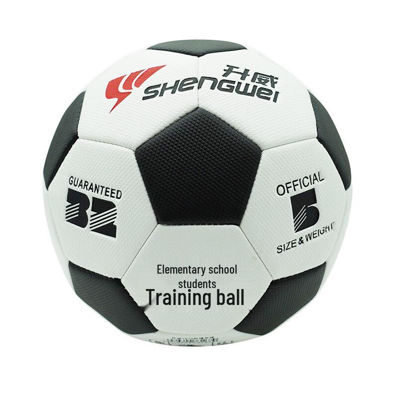 Longchan Sports Size 5 Football