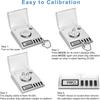 High Precision Jewelry Scale Digital Display Digital Fishing Scale  Powder Scale