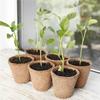20PCS Seedling Cup Disposable Nursery Pots Paper Pulp Biodegradable Seedling Germination Cultivation Bowl Kit Plant Accessories