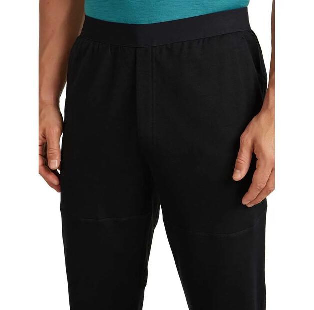 Icebreaker Джоггеры Merino Blend 300 RealFleece™ Descender