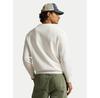 Polo Ralph Lauren Hoodie 710B14616001