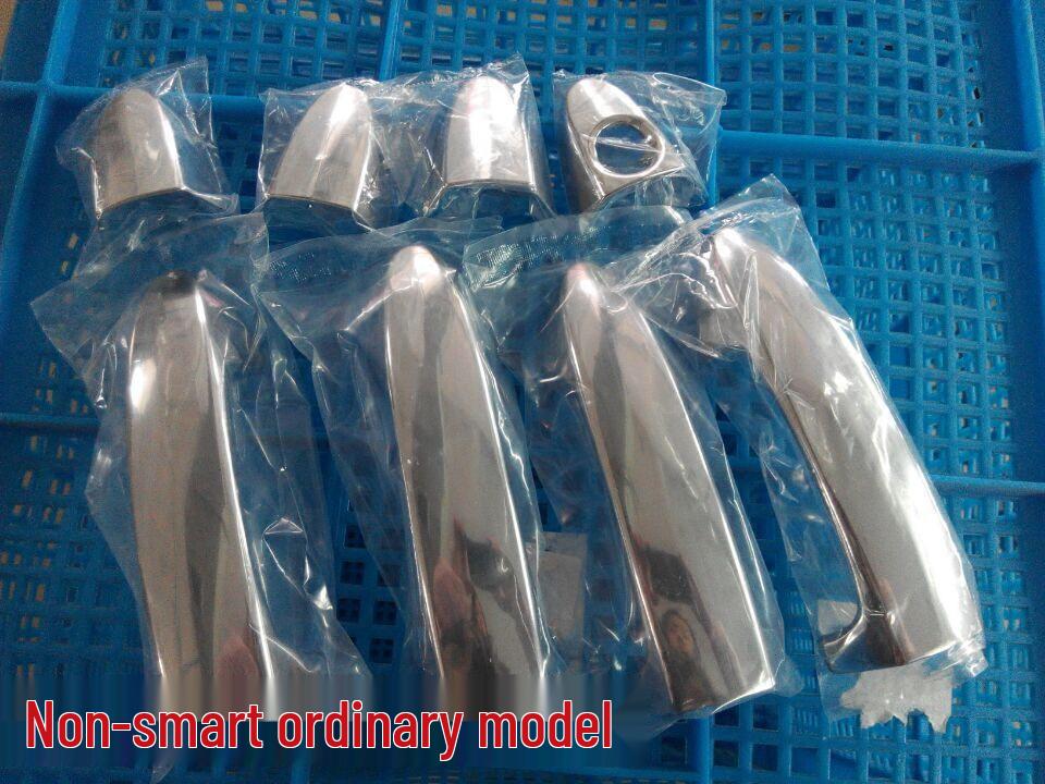 Ford Ecosport Door Handle and Bowl Modification Stickers