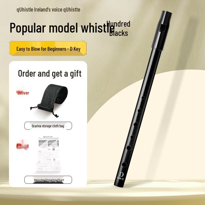 Irish Tin Whistle C & D Key Six-Hole Recorder for Students: Professional High & Low Pitches Flute.