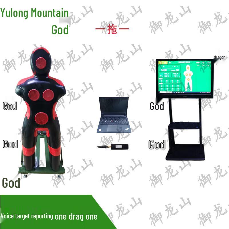Martial Arts Training Mannequin System