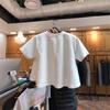 Korte Mouw T-shirt Dames Zomer Nieuw Kort Los Wit Letterprint Studententop Grote Maat Damesmode