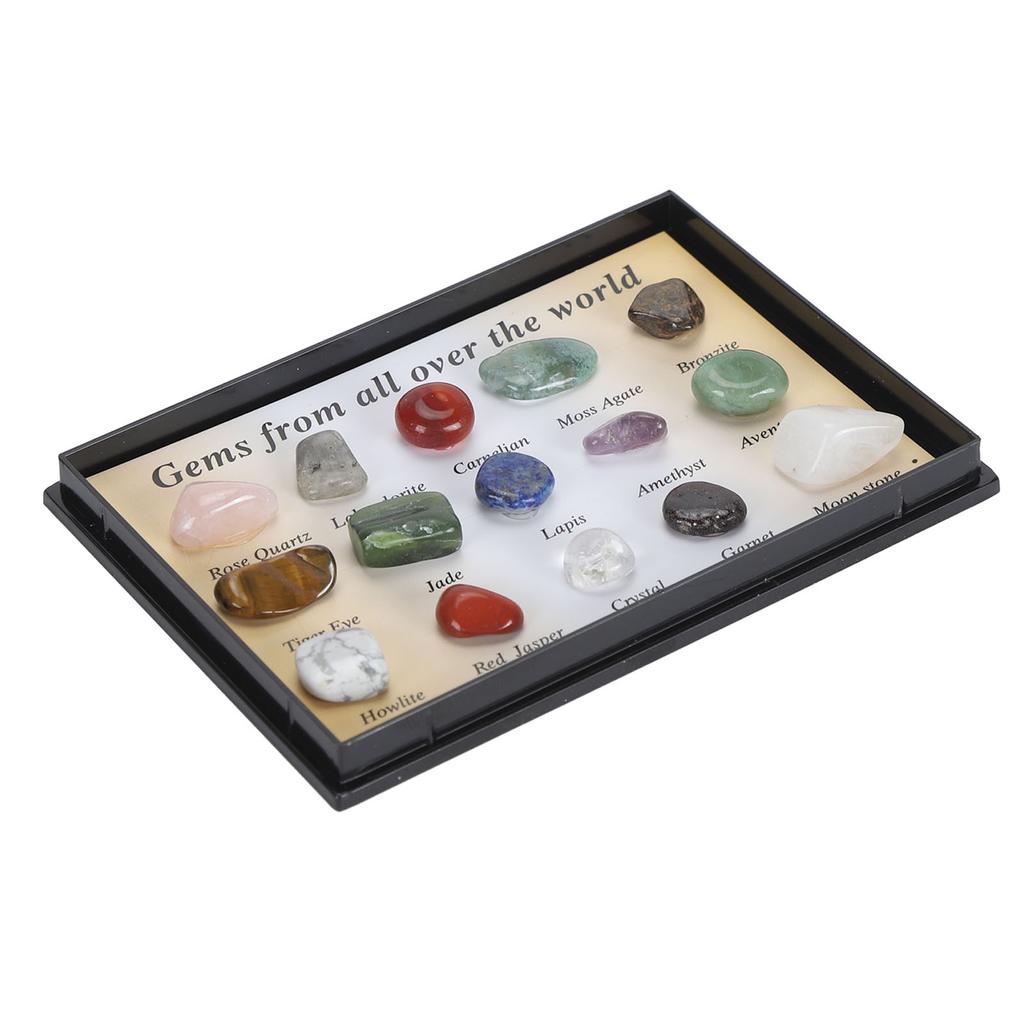 Rock Stone Colletction Kit for Kids Exquisite Science Classroom Rocks and Minerals Collection Minerals Educational