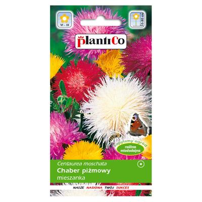 Sementes de centáurea almiscarada 1g flores para o jardim