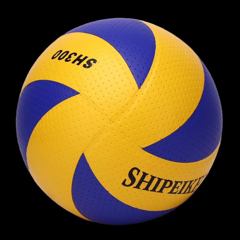 Longchan SH300 Indoor Training Volleyball