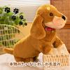 Miaomyao Plush Miniature Dachshund Fluffy and Soothing Toy for 42cm Toy, Dog, Kids, (Brown)
