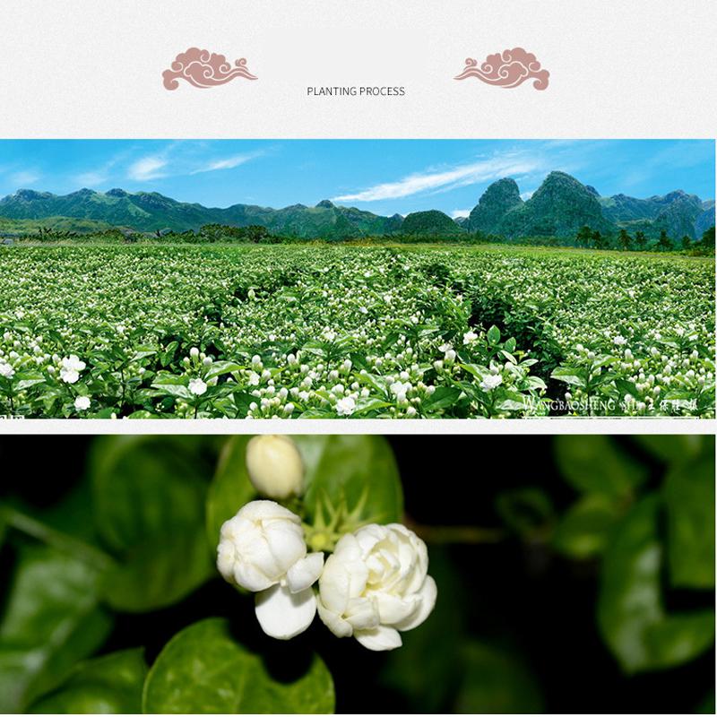 Buy Jasmine Tea Jasmine Flower Jasmine Bud Flower Tea at affordable