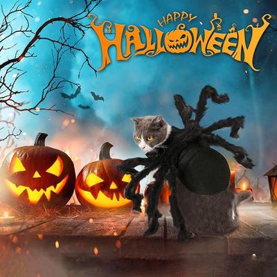 Funny Cute Halloween Spider Costume for Pets - Autumn Role-Playing Decoration