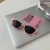 Vintage Cat Eye ladies Sunglasses Vintage Small Frame Sun Glasses For Men Luxury  Design Outdoor Eyewear UV400